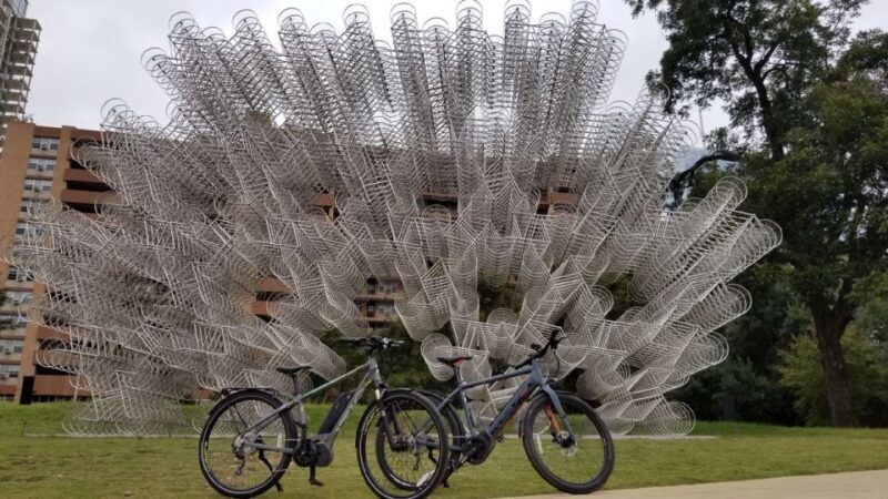 Austin: Electric Bike City Sightseeing Tour - Suitability and Considerations