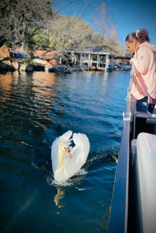 Austin: Lake Austin Private Boat Cruise - Full Sun Shading - Who Will Love This Tour?