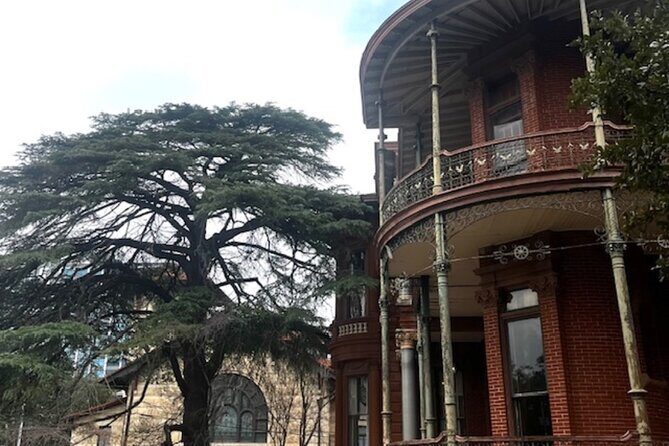 Austins Art and Architecture Panoramic Tour - What to Expect from the Itinerary