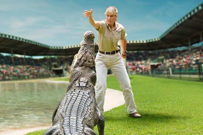 Australia Zoo Day Trip from Brisbane - An In-Depth Look at the Tour Experience