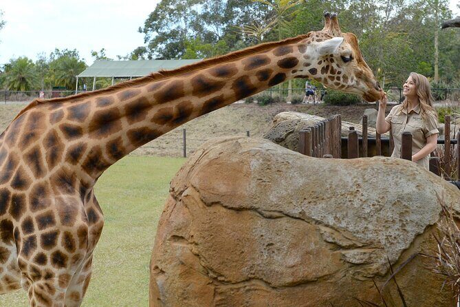 Australia Zoo Day Trip from Noosa /Sunshine Coast Region - The Animal Encounters