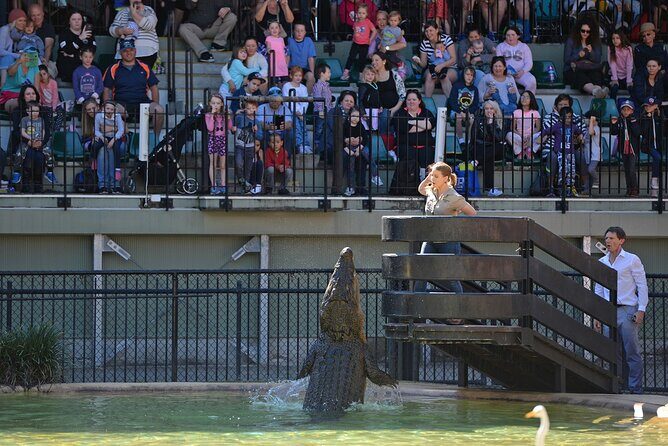 Australia Zoo Day Trip from Noosa /Sunshine Coast Region - Value for Money