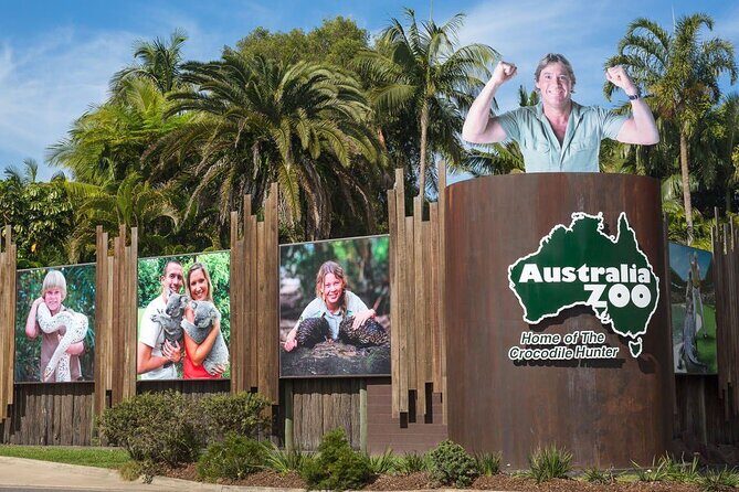 Australia Zoo Transfer from Noosa and Sunshine Coast - Key Points