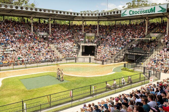 Australia Zoo Transfer from Noosa and Sunshine Coast - What to Expect from This Transfer Experience