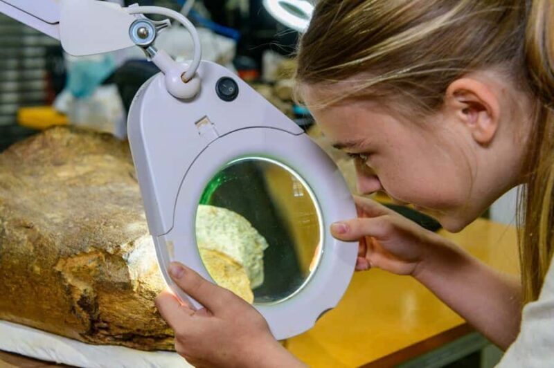 Australian Dinosaur Giants Tour - Frequently Asked Questions