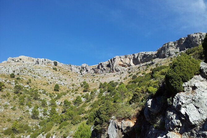 Authentic Andalusia - Jeep Eco Tour (pick up from Marbella - Estepona) - Practical Details and What You’ll Get