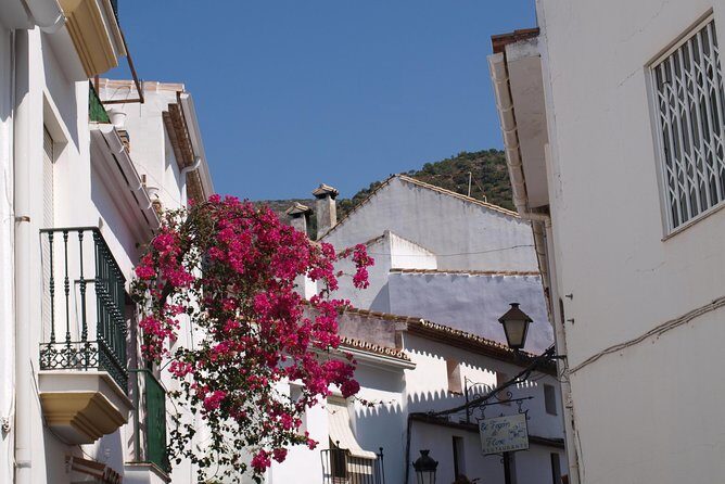 Authentic Andalusia - Jeep Eco Tour (pick up from Marbella - Estepona) - FAQs