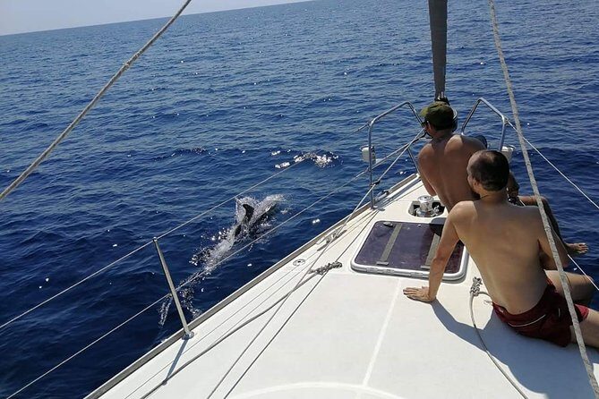 Authentic Barcelona Sailing Tour with Swim & Drinks - What to Expect from This Sailing Tour