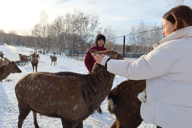 Authentic Burabay Embrace Nature, Wine, Cheese, and Local Life - FAQ