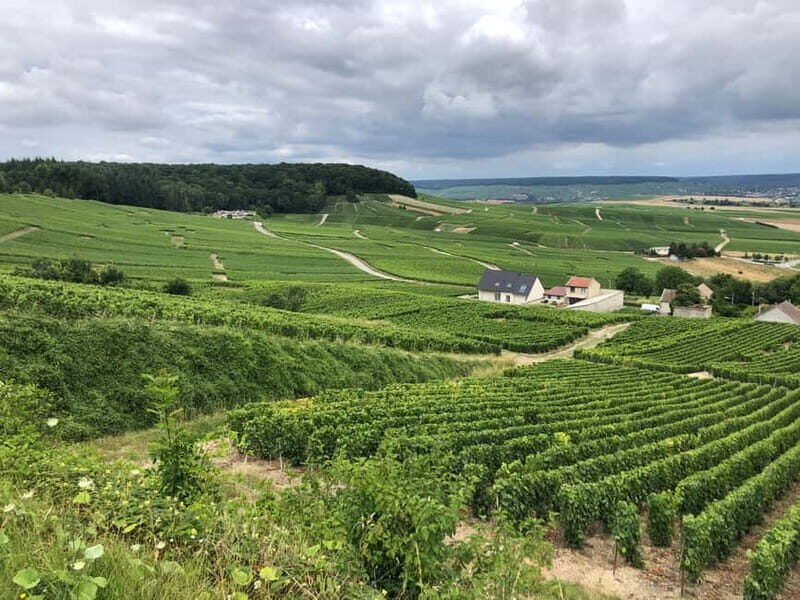 Authentic Champagne Tour: 3 vineyards, 10 Tastings & Lunch - Key Points