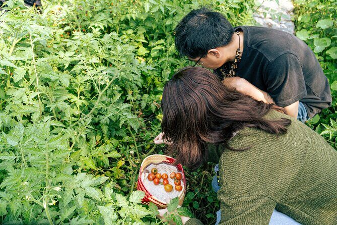 Authentic Cooking Class in Chinampa Xochimilco - Exploring the Experience: What to Expect from Start to Finish