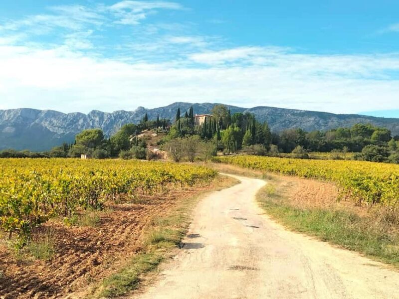 Authentic Countryside Wine Tour & Chic Aix-en-Provence - Key Points