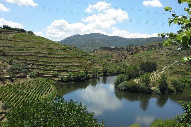 Authentic Douro Valley - small-Group Tour (Max 7) - The Itinerary: What You Can Expect