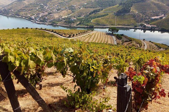 Authentic Douro Valley - small-Group Tour (Max 7) - Final Thoughts: Who Should Consider This Tour?