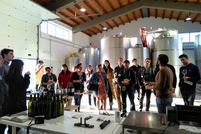 Authentic experience in organic winery - Who Will Love This Tour?