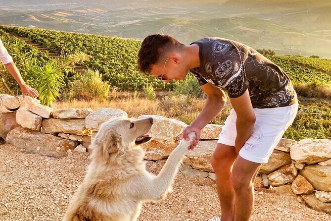 Authentic experience in organic winery - Final Thoughts