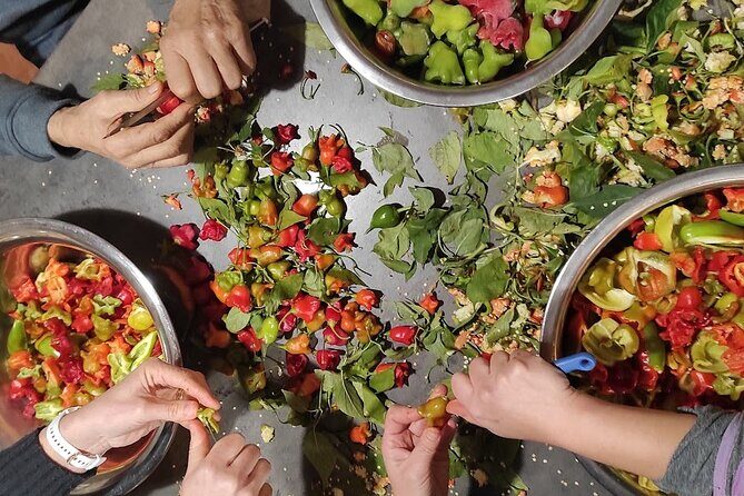 Authentic Garden to Table Cooking Class in Dubrovnik Countryside - FAQ