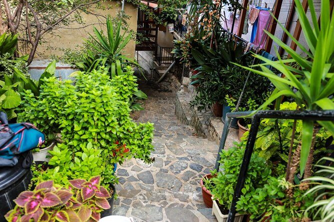 Authentic Gourmet Tour with Wine and Food Tasting from Paphos - In-Depth Look at the Tour Experience