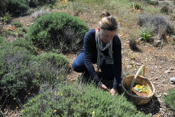 Authentic Greek Cooking & Foraging Experience in Syros with Maria - What to Expect from This Cooking & Foraging Tour in Syros