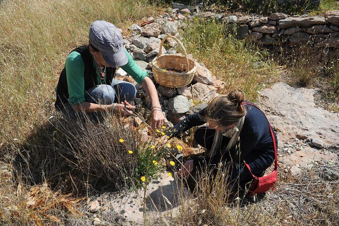 Authentic Greek Cooking & Foraging Experience in Syros with Maria - FAQ