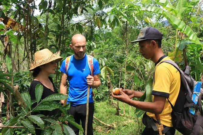 Authentic hike in the forest with lunch at the inhabitant - Final Thoughts