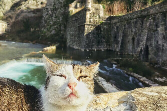 Authentic Kotor Old Town Walking Tour - What Travelers Say
