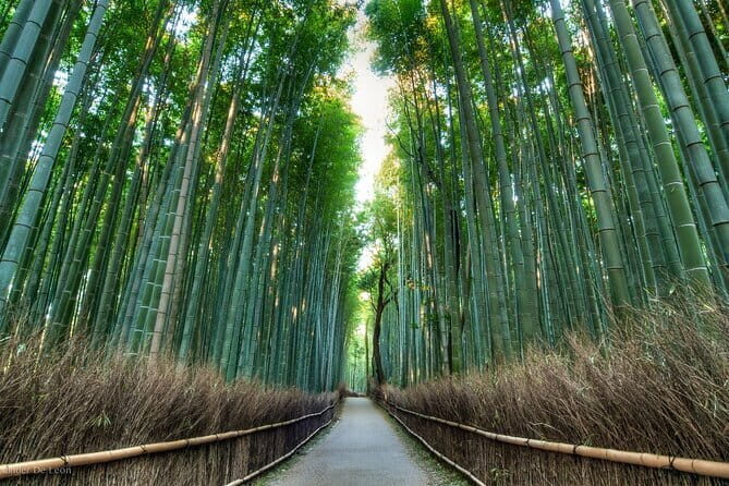 Authentic Kyoto Gion Tour with Traditional Cuisine and Maiko Show - FAQ