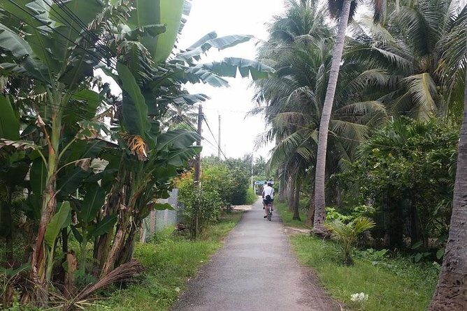 Authentic 'Non-Touristy' Mekong Delta Ben Tre 1 Day Private Tour - The Sum Up: Who Is This Tour Best For?