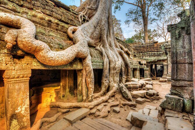 Authentic of Vietnam & Cambodia Tour - full package - Value for Money — Is It Worth It?