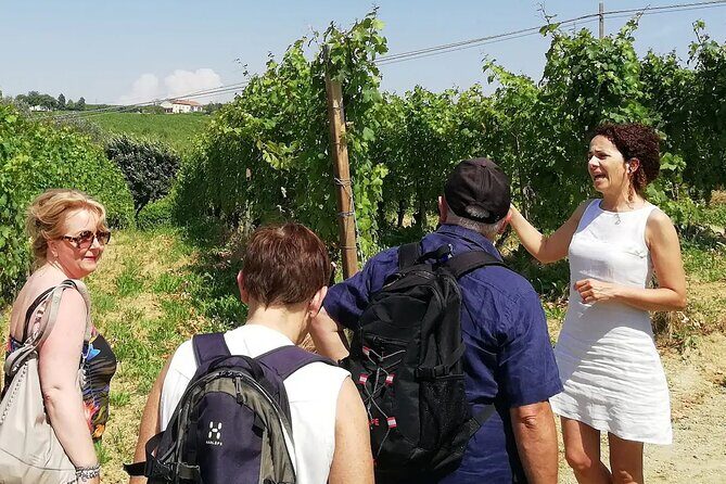 Authentic Piedmont wine tour with a local Sommelier - Authentic Piedmont Wine Tour with a Local Sommelier