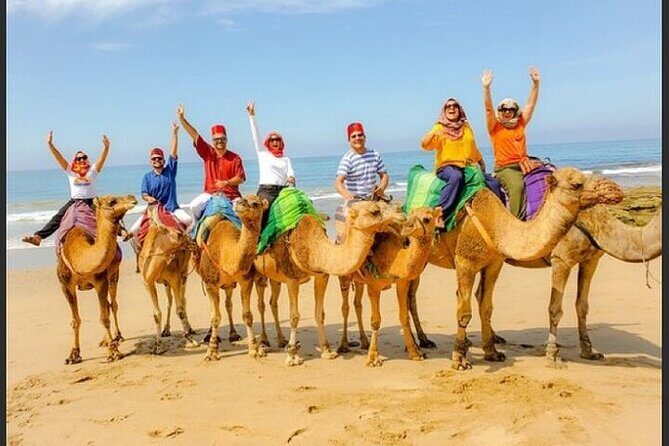 Authentic Private Tangier Tour from Cadiz Camel Ride & Lunch - Final Thoughts