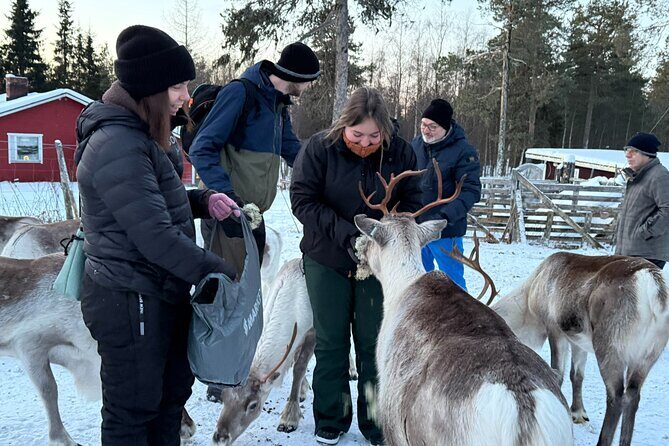 Authentic Reindeer Experience and Ice Fish with Lunch in the Wild - Authenticity and Cultural Insights