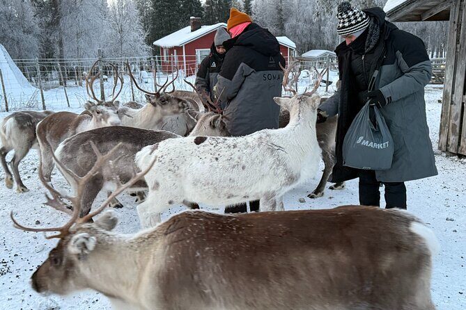 Authentic Reindeer Experience and Ice Fish with Lunch in the Wild - Final Thoughts