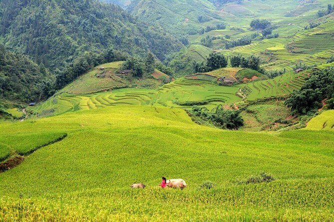Authentic Sapa 3 Days 2 Nights 3star Hotel Trekking and Relaxing - FAQ