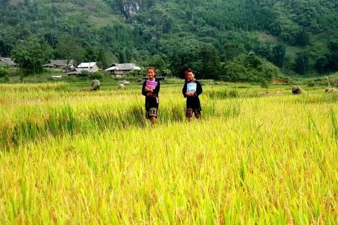 Authentic Sapa Trekking With Local Family Homestay (2d1n by bus) - Who Should Consider This Tour?