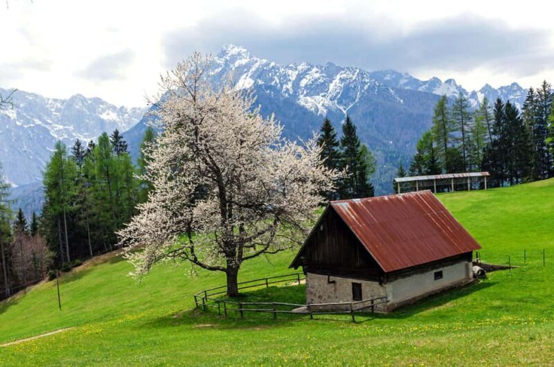 Authentic Slovenia: A Mystery Travel Day Tour - Why This Tour Offers Great Value