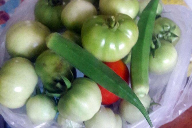 Authentic South Indian Cooking Class and Vegetarian Meal with a Local in Chennai - FAQ