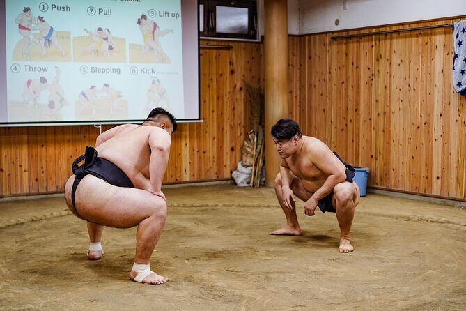 Authentic Sumo Experience in Tokyo : Enter the Sanctuary - Who Will Love This Experience?