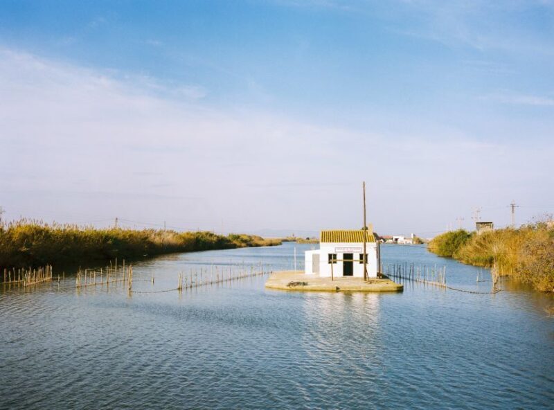 Authentic Valencian Paella Cooking Class - Does the Price Match the Experience?