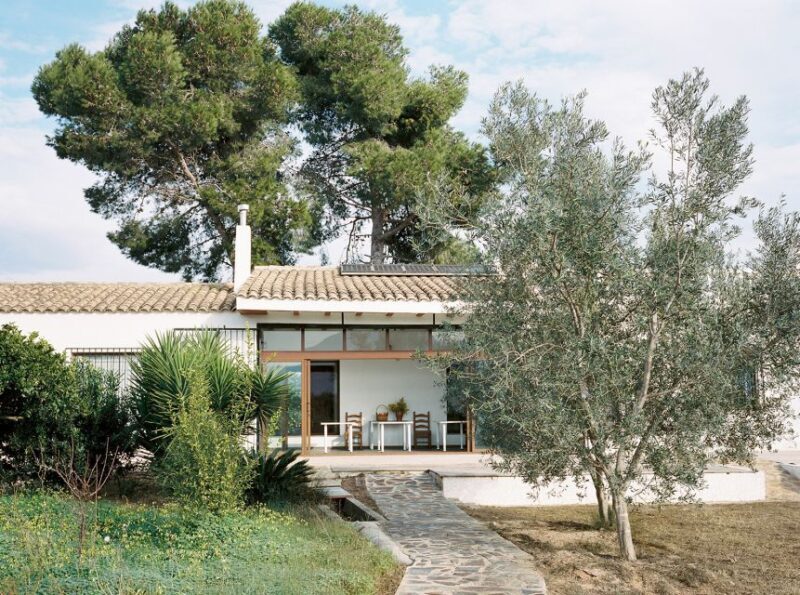 Authentic Valencian Paella Cooking Class - Practical Details & Tips for Travelers