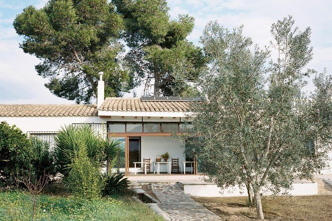 Authentic Valencian Paella Cooking Class - Final Thoughts