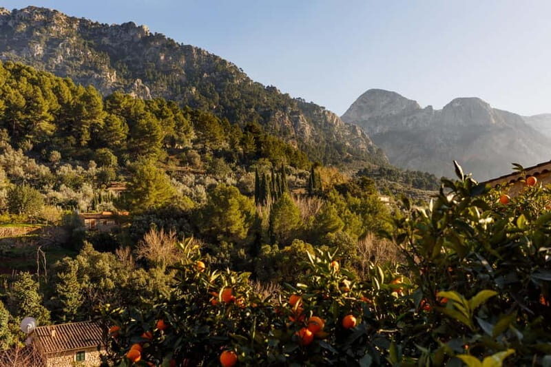 Authentic Vall de Sóller: Day Trip - Key Points