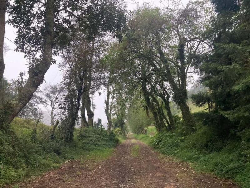 Authentic Veracruz: Guided Hike from Naolinco to Acatlán with Meal - FAQ