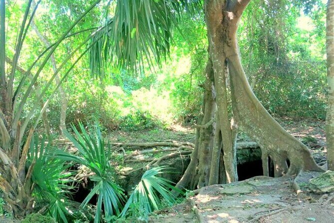 Automatic Buggy Rental 24h Live Cozumel at Your Rhythm - Why Choose a Buggy Rental in Cozumel?