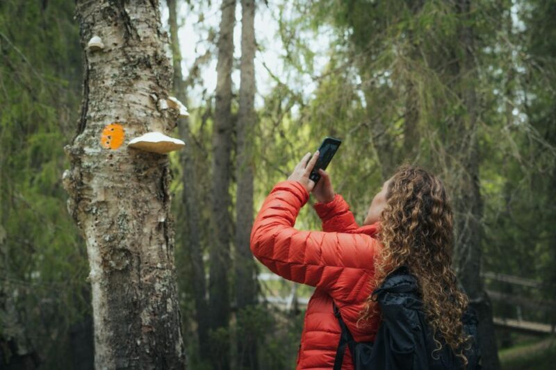 Auttiköngäs Hiking Experience - Who Will Love This Tour?