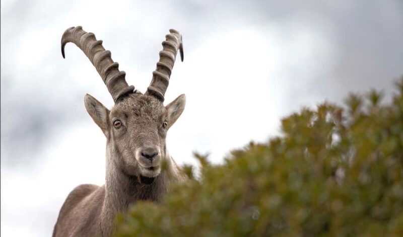 Autumn Colors Hike - Day trip - Group outing - Key Points