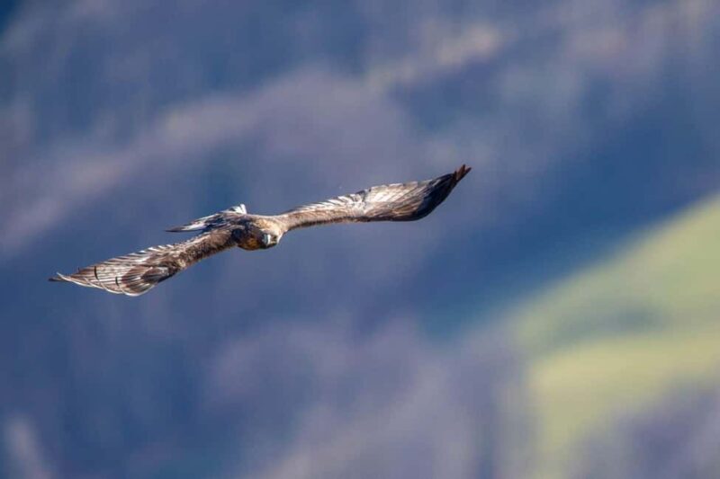 Autumn Colors Hike - Day trip - Group outing - The Sum Up