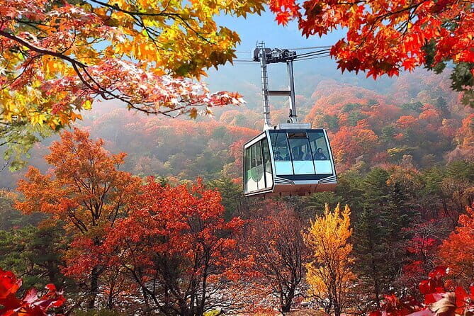 Autumn Foliage-Mt. Seorak, Sokcho Beach, Market, Observatory - Autumn Foliage-Mt. Seorak, Sokcho Beach, Market, Observatory Review