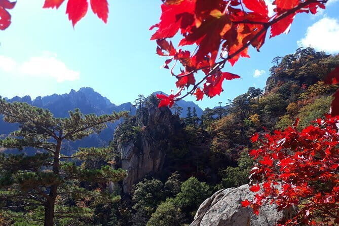Autumn Foliage-Mt. Seorak, Sokcho Beach, Market, Observatory - Key Points