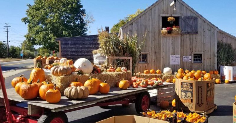 Autumn in New England - Key Points